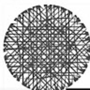 Meet your Posher, Tashane